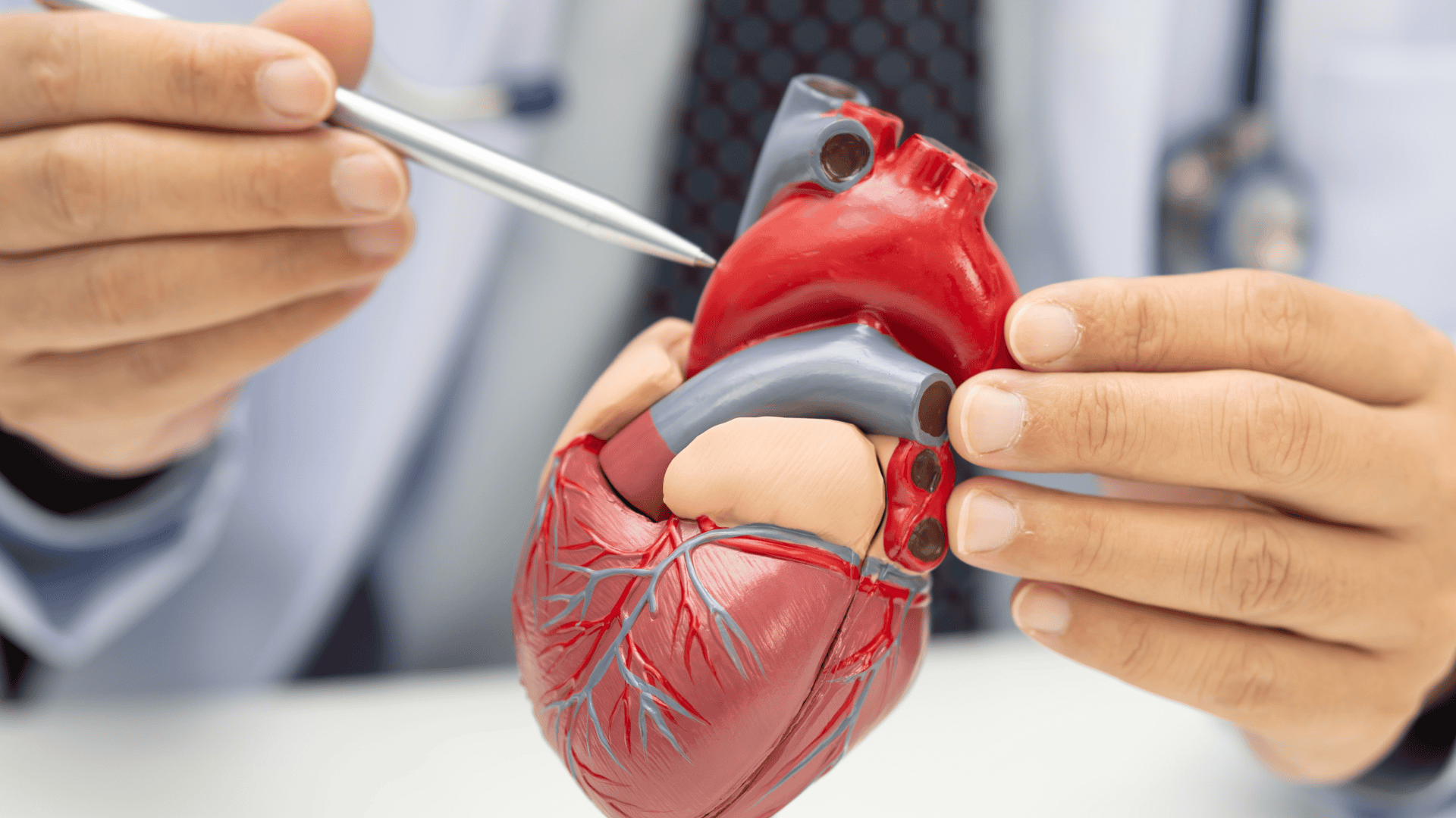 Managing heart failure requires consistent, expert care. Dr. Hersh provides personalized CHF treatment plans, medication management, and monitoring in Bellmore, NY.