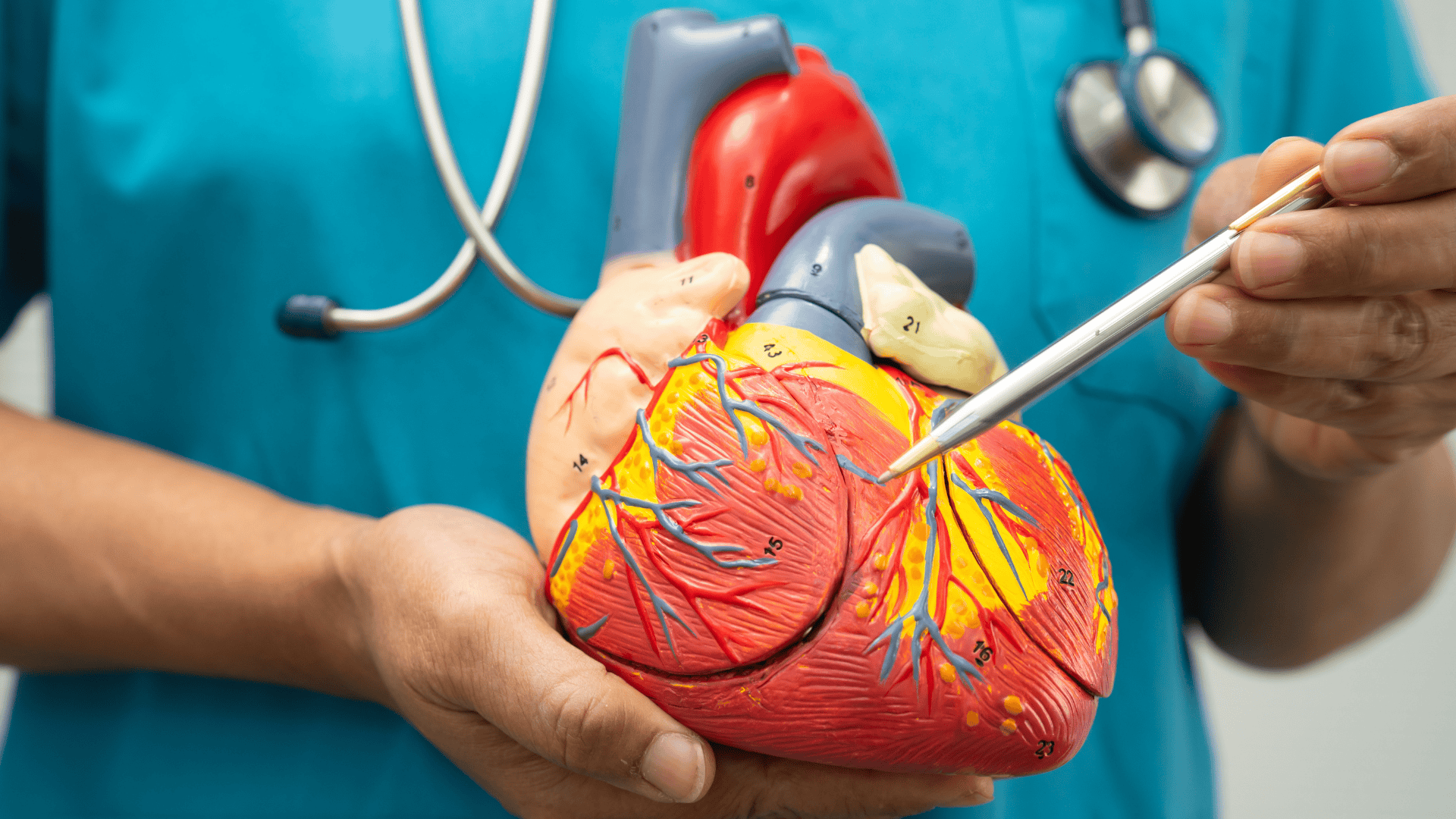 Heart Failure Treatment in Bellmore, NY | Heart Health of the South Shore