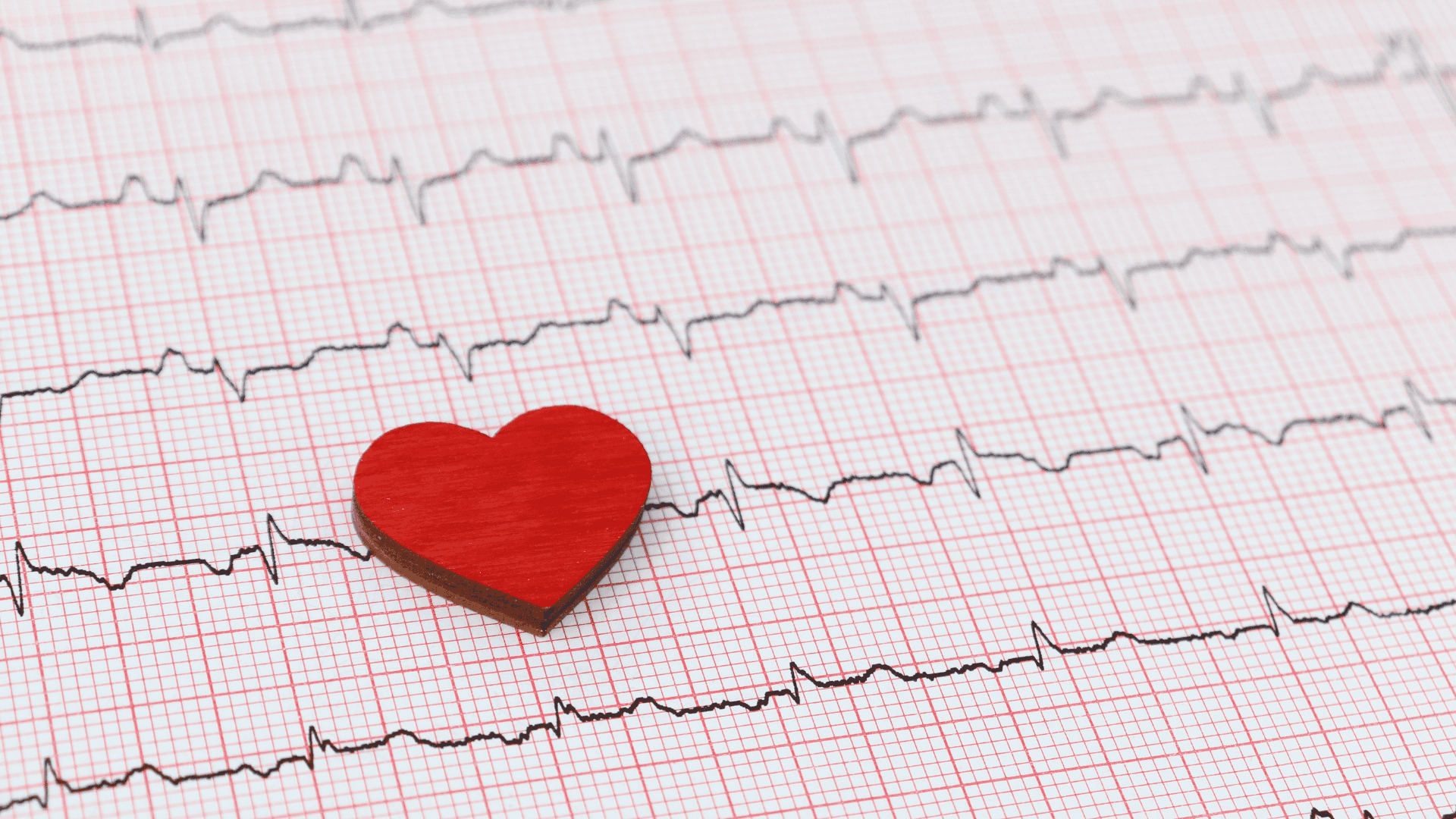 Heart Disease Treatment in Bellmore, NY | Heart Health of the South Shore